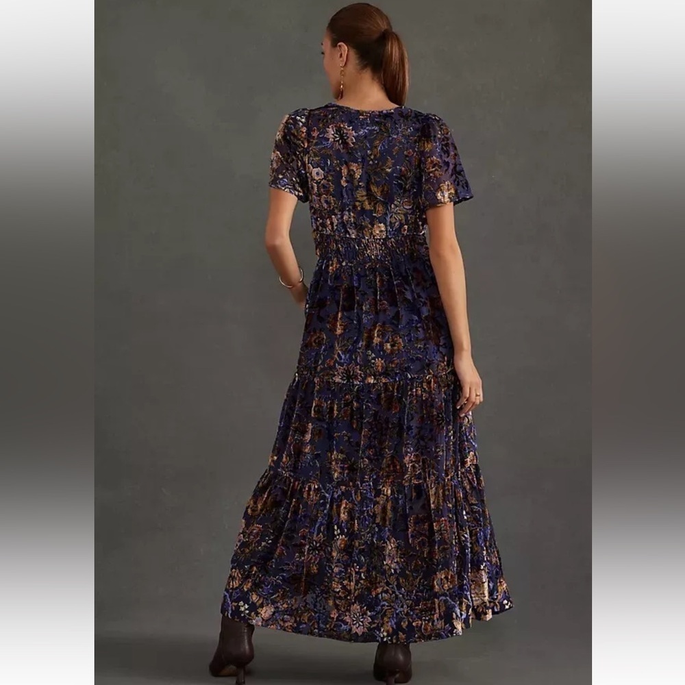 Anthropologie - The Somerset Burn-out Velvet Maxi Dress Size Small NWT In - Picture 3 of 13